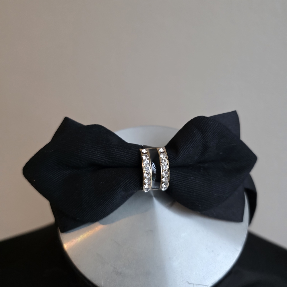 Elegant Black Bowtie